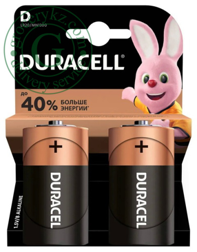 Duracell D batteries, 2 pc Duracell D batteries, 2 pc