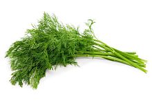 Dill, bunch