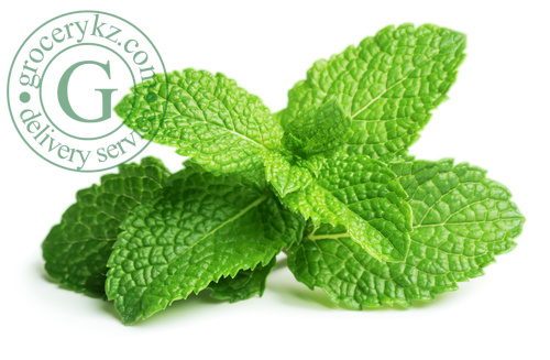 Mint, bunch Mint, bunch