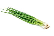 Onion, green, bunch