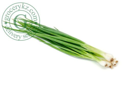 Onion, green, bunch Onion, green, bunch