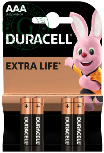 Duracell Extra Life AAA batteries, 4 pc Duracell Extra Life AAA batteries, 4 pc