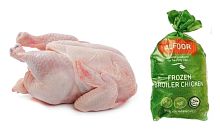 Alfoor frozen broiler chicken