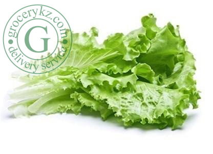 Lettuce, bunch Lettuce, bunch